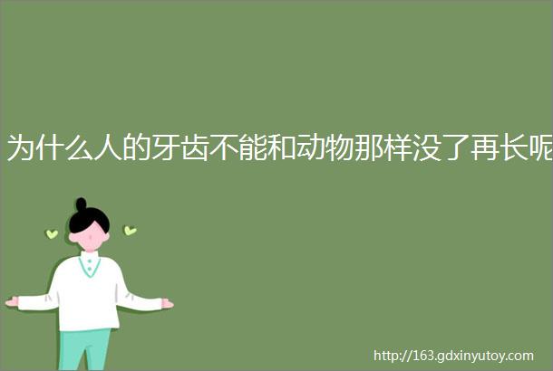 为什么人的牙齿不能和动物那样没了再长呢