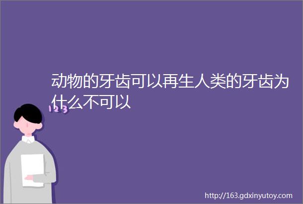 动物的牙齿可以再生人类的牙齿为什么不可以